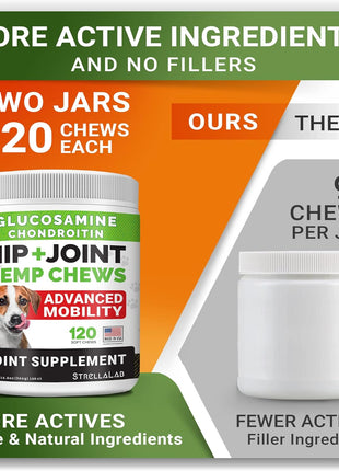 8oz Probiotics Powder + 240ct Hemp Glucosamine Joint Supplement Bundle - Relieves Diarrhea + Joint Pain Relief - Digestive Enzymes + Prebiotics + Omega 3, Hemp Oil + Chondroitin, MSM - Made in USA