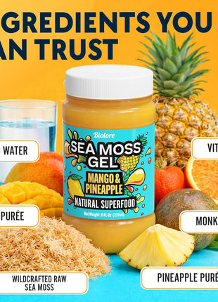 Biolore Sea Moss Gel Mango-Pineapple Made in USA Raw Wildcrafted Irish Seamoss Essential Vitamins Trace Minerals Vegan Superfood, Jam, Jelly & Sweet Spread Gifts (Mango-Pineapple 8OZ)