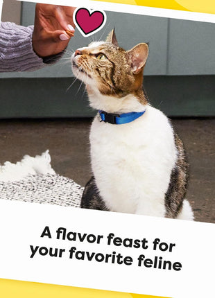 Temptations Cat Treats MixUps Backyard Cookout Flavor Crunchy, Soft Cat Treats, 30 oz. Tub