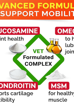 Allergy Relief + Senior Advanced Glucosamine for Dogs Bundle - Itchy Skin + Hip & Joint Pain Relief - Omega 3 & Pumpkin + Chondroitin, MSM - Allergy Supplement, Hotspot Relief - 480ct - Made in USA