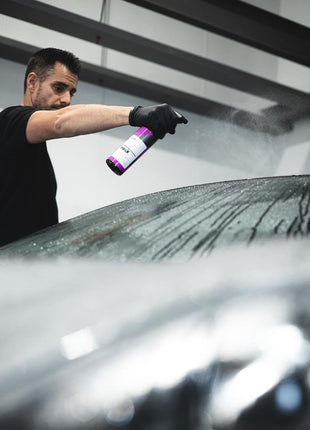 CARPRO IronX Iron Remover: Stops Rust Spots and Pre-Mature Failure of the Clear Coat, Iron Contaminant Removal - 500mL with Sprayer (17oz)