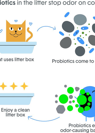 Boxie Probiotic Cat Litter, 40 Day Odor Control, Clumping Clay Kitty Litter, Odor Eliminating Probiotics, Dust-Free, No Fragrances No Fillers, 16 lb