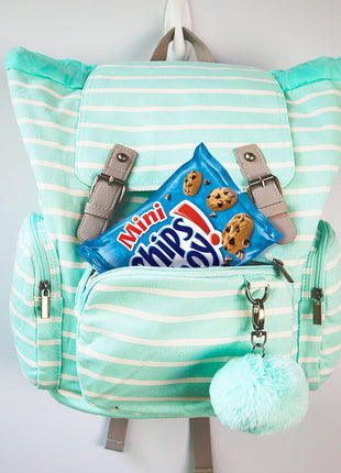 Nabisco Snacks Variety Pack, 4 Flavors, Cookies & Crackers, 20 Snack Packs | OREO Minis, NUTTER BUTTER Bites, CHIPS AHOY! Minis Cookies, and RITZ Bits Cheese Sandwich Crackers, Individually Wrapped