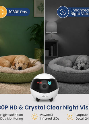 Enabot EBO SE FamilyBot Pet Camera Robot - 1080P HD Indoor Movable Home Security Camera with Auto-Recharge, Night Vision, 2-Way Talk, Local Storage, APP Control,Motion Detection for Dog/Cat Monitoring