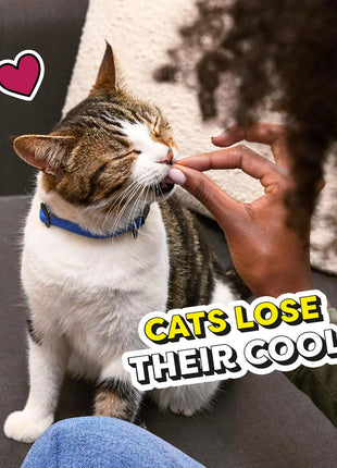 Temptations Cat Treats MixUps Backyard Cookout Flavor Crunchy, Soft Cat Treats, 30 oz. Tub
