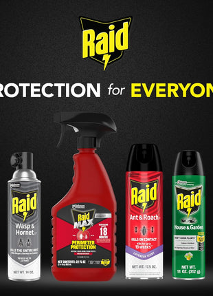 Raid Wasp & Hornet Killer Spray, Bug Killer Kills the Entire Nest, 14 Oz, 2 Count