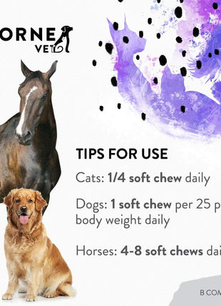 B ComplexVet and Canine Geriatric Basics Soft Chews Bundle