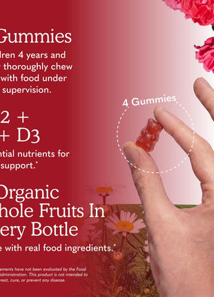 Garden of Life Organics Kids Gummy Vitamins - Fruit - Certified Organic, Non-GMO & Vegan Complete Children's Multi - B12, C & D3 - Gluten, Soy & Dairy Free, 120 Real Fruit Chew Gummies