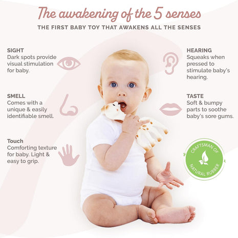 Sophie la girafe Original Teether for Babies, Natural Rubber, Soothes Sore Gums, Easy to Grip, Sensory Development, Classic Toy Since 1961