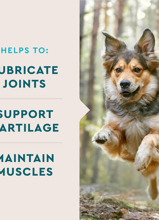 VetIQ Glucosamine Hip & Joint Supplement for Dogs, 180 Soft Chews, Dog Joint Support Supplement with MSM and Krill, Dog Health Supplies Large & Small Breed, Chicken Flavored Chewables