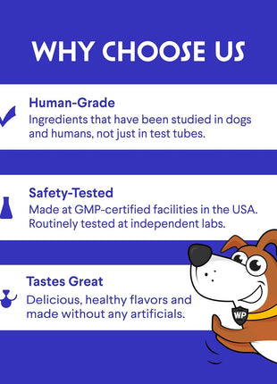 100% Norwegian Salmon Oil Plus Mushroom Complex Powder - for Dog's Skin, Coat & Immune Health – Salmon Oil 32 Ounces – Mushroom Complex 90 Scoops