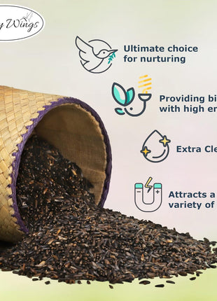 Happy Wings Nyjer/Thistle Seeds Wild Bird Food - 10 Pounds I No Grow Seed I Bird Seed for Wild Birds