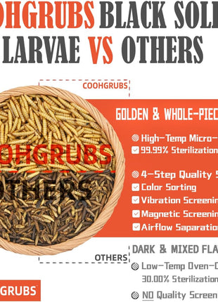 Black Soldier Fly Larvae for Chickens – 100% Natural Non-GMO Grubs, 85X More Calcium Than Dried Mealworms – Clean, Nutritious & Delicious High-Protein Poultry & Bird Treats, 10-lb Box
