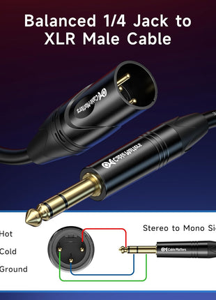 Cable Matters 6.35mm (1/4 Inch) TRS to XLR Cable - 10ft, Male to Male XLR to TRS Cable, Black - Not for Microphone Use