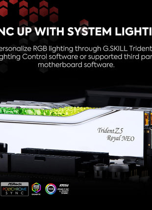 G.SKILL Trident Z5 Royal Neo Series DDR5 RAM (AMD EXPO) 32GB (2x16GB) 6400MT/s CL32-39-39-102 1.40V Desktop Computer Memory U-DIMM - Silver (F5-6400J3239G16GX2-TR5NS)