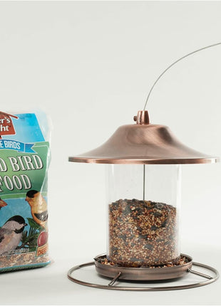Wagner's 53002 Farmer's Delight Wild Bird Food with Cherry Flavor, 10 Pound Bag