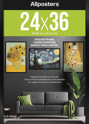 Trends International Poster Frame, 24" x 36", Collector's Edition Black