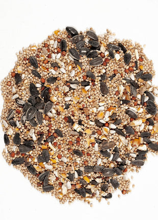 Wagner's 62006 Midwest Regional Blend Wild Bird Food, 20-Pound Bag