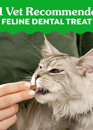 Greenies Cat Treats, Feline Veterinarian-Recommended Adult Natural Dental Treats, Catnip Flavor, 9.75 oz. Tub