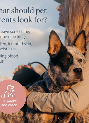Veterinary Formula Clinical Care Hot Spot & Itch Relief Medicated Spray, 8oz 芒聙聯 Easy to Use Spray for Dogs & Cats 芒聙聯 Helps Alleviate Sensitive Skin, Scratching, and Licking of Coat (1 Pack)