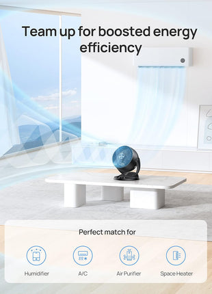 DREO Fan for Bedroom, 12 Inches, 70ft Powerful Airflow, 25db Quiet Table Air Circulator Fans for Whole Room, 120° Adjustable Tilt, 3 Speeds, Desktop Fan for Home, Office, Kitchen