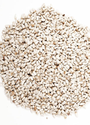Wagner's 57075 Safflower Seed Wild Bird Food, 5 Pound (Pack of 1)