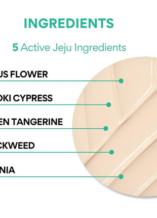Innisfree UV Active Poreless Sunscreen SPF 50+ / PA+++ 1.7 fl oz (50 ml) Makeup Foundation / Sunscreen Blood Tone, Transparent, Moisturizing, Pore Cover Tone Up Primer