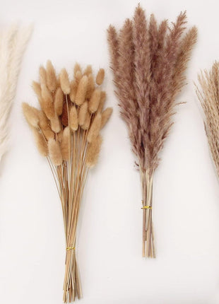 Dried Pampas Grass Decor, 100 Stems Pampas Grass Contains Bunny Tails Dried Flowers, Reed Grass Bouquet for Wedding Boho Flowers Home Table Decor, Rustic Farmhouse Party (17 inch, White and Brown)