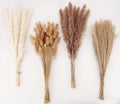 Dried Pampas Grass Decor, 100 Stems Pampas Grass Contains Bunny Tails Dried Flowers, Reed Grass Bouquet for Wedding Boho Flowers Home Table Decor, Rustic Farmhouse Party (17 inch, White and Brown)
