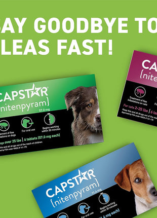 Capstar for Dogs (nitenpyram), Fast-Acting Oral Flea Treatment for Dogs Over 25+ lbs, Vet-Recommended Flea Medication Tablets Start Killing in 30 Minutes, 6 Doses