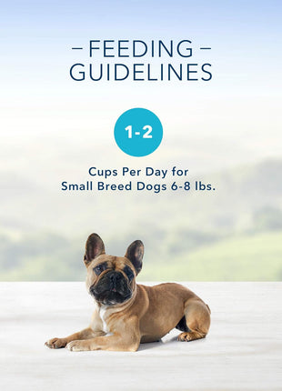 Blue Buffalo Delights Natural Adult Small Breed Wet Dog Food Cups, Pate Style, Roasted Turkey & Grilled Chicken 3.5-oz (24 Count - 12 of Each Flavor)