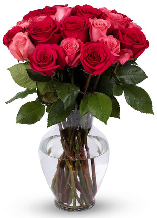 Benchmark Bouquets - 24 Stem Premium Blushing Beauty Roses (Glass Vase Included) - Flowers for Delivery - Gift for Graduation, Birthday, Anniversary, Sympathy, Get Well, Congratulations