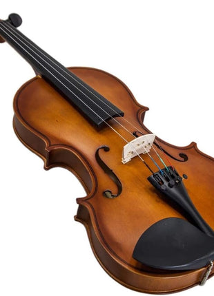 Paititi 3/4 Size Artist-100 Student Violin Starter Kit with Brazilwood Bow Lightweight Case, Shoulder Rest, Extra Strings and Rosin
