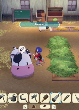 STORY OF SEASONS: Grand Bazaar - Nintendo Switch