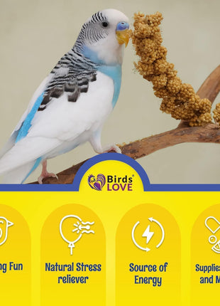 Birds LOVE Millet Tips & Tails for Birds - Parakeets, Cockatiels, Lovebirds, Finches, Budgies, Canaries, Cockatoos - Natural & Healthy Millet for Birds - Parakeet Food & Treats for All Parrots, 1lb