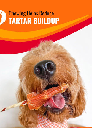 Good 'n' Fun Kabobs Long-Lasting Dog Treat, With Real Proteins, Beef Hide and Premium Chicken, Supports Dental Health, Mental Stimulation, 24 oz