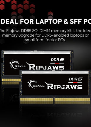 G.SKILL Ripjaws DDR5 SO-DIMM Series DDR5 RAM 64GB (2x32GB) 4800MT/s CL40-39-39-76 1.10V Unbuffered Non-ECC Notebook/Laptop Memory SO-DIMM (F5-4800S4039A32GX2-RS)
