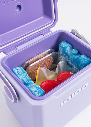 Igloo Maxcold Ice Block