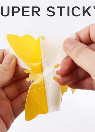 Fruit Fly Traps Fungus Gnat Traps Yellow Sticky Bug Traps 36 Pack No Harm and Odorless for Indoor Outdoor Use Protect The Plant