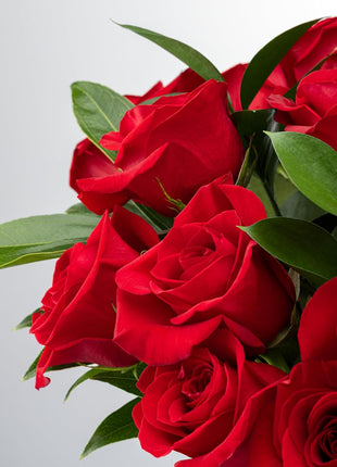 Benchmark Bouquets - Red Roses Bouquet - Fresh Flowers for Delivery - Real Roses - Two Dozen Long Stem Roses for Anniversary - Romantic Gift Set - Gifts for Women (Glass Vase Included)