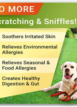 Omega 3 + Allergy Relief for Dogs Bundle - Allergy & Itch Relief + Itchy Skin Treatment - EPA & DHA Fatty Acids + Pumpkin - Shedding, Itchy Skin Relief + Itch Relief- 360 Chews - Made in USA