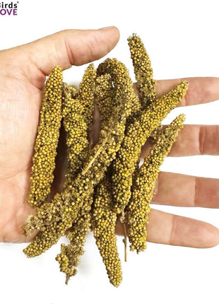 Birds LOVE Millet Tips & Tails for Birds - Parakeets, Cockatiels, Lovebirds, Finches, Budgies, Canaries, Cockatoos - Natural & Healthy Millet for Birds - Parakeet Food & Treats for All Parrots, 1lb