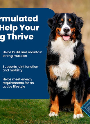 Blue Buffalo Life Protection Formula Adult Dry Dog Food, Helps Build and Maintain Strong Muscles, Made with Natural Ingredients, Chicken & Brown Rice Recipe, 30-lb. Bag