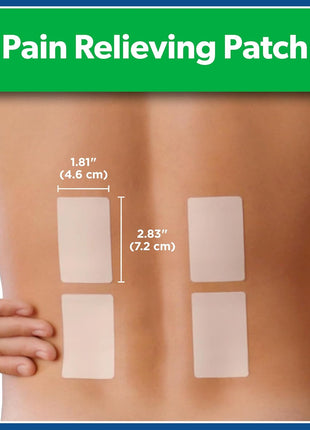 Salonpas Pain Relieving Patch for Back, Neck, Shoulder, Knee Pain and Muscle Soreness   8 Hour Pain Relief   60 Count