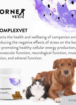 B ComplexVet and Canine Basic Nutrients Soft Chews Bundle