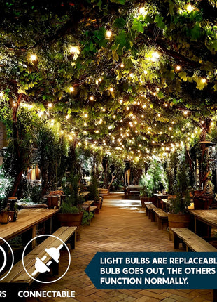 Joiedomi Clear Christmas String Lights Indoor,100 Count Mini White Fairy Light Outdoor,19.4 FT Decor for Patio Dorm Classroom Bedroom Holiday Wedding Party Garland Birthday Festival,Green Wire