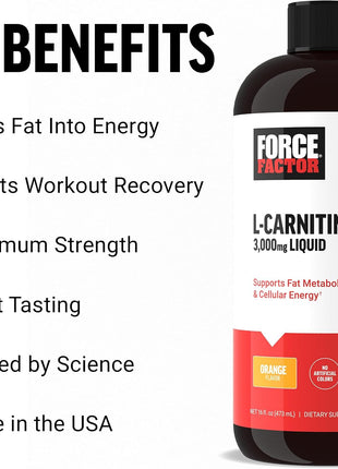 Force Factor L Carnitine Supplement, Liquid L-Carnitine 3000 mg to Help Turn Fat Into Energy, Support Muscle Recovery, and Boost Cellular Energy, Maximum Strength, Non-GMO, Orange Flavor, 16 Oz.