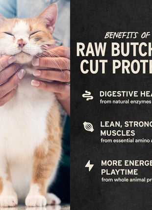 Vital Essentials Minnows Cat Treats, 0.5 oz | Freeze-Dried Raw | Single Ingredient | Grain Free, Gluten Free, Filler Free