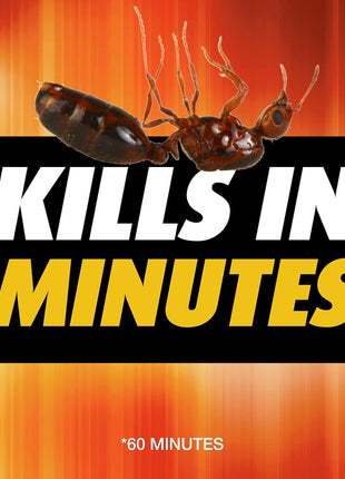 Ortho Orthene Fire Ant Killer1 – Mound Treatment, Outdoor Ant Killer, Kills Queens, No Watering Needed, Treats up to 162 Mounds, 12 oz. (2-Pack)