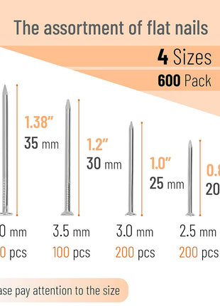 Mr. Pen- Nail Assortment Kit, 600 Pcs, 4 Sizes, Silver, Small Nails for Hanging Pictures, Finishing Nails, Gold Wall Nails for Hanging, Pin Nails, Hardware Nails, Assorted Nails, Galvanized Nails